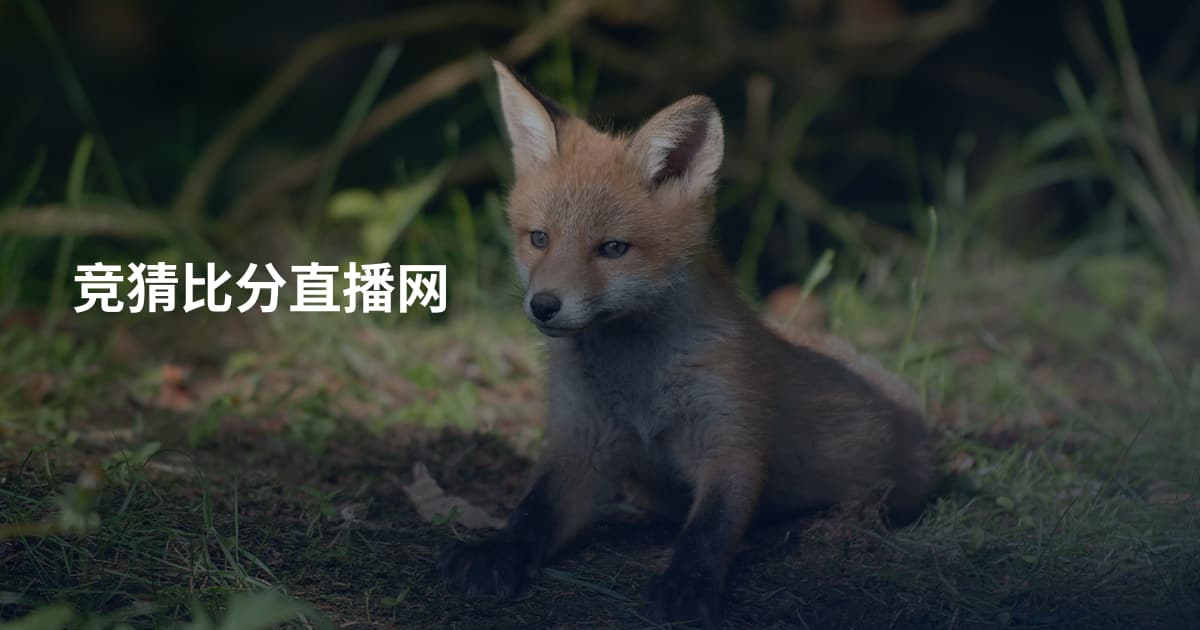 竞猜比分直播网