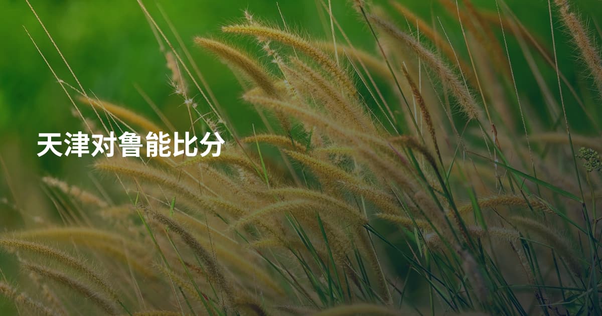天津对鲁能比分