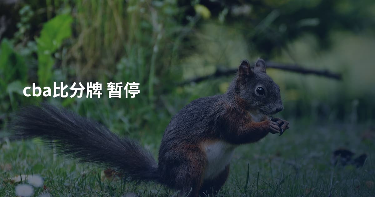 cba比分牌 暂停