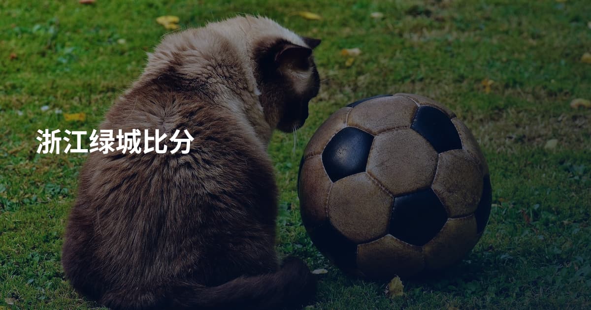 浙江绿城比分