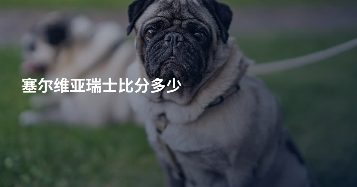 塞尔维亚瑞士比分多少