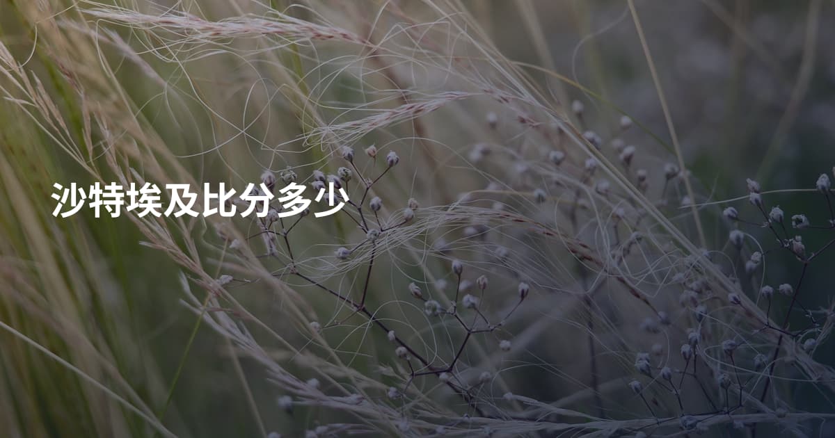 沙特埃及比分多少