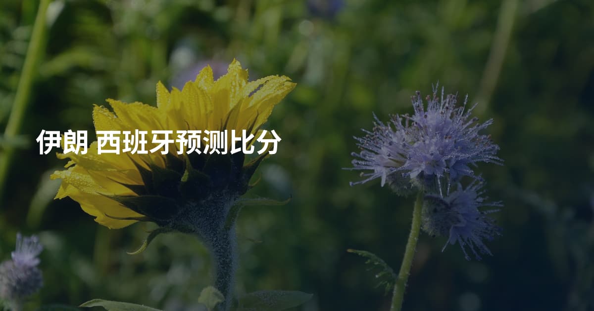 伊朗 西班牙预测比分