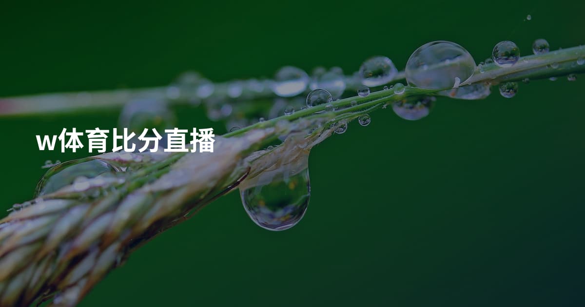 w体育比分直播