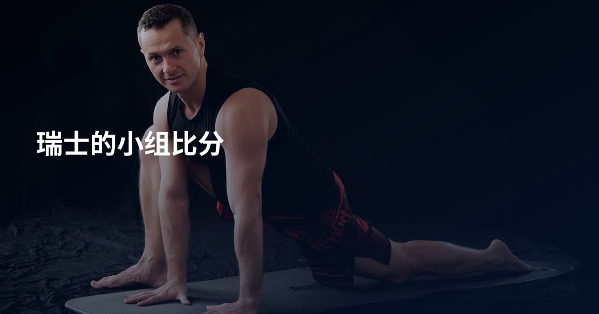 瑞士的小组比分