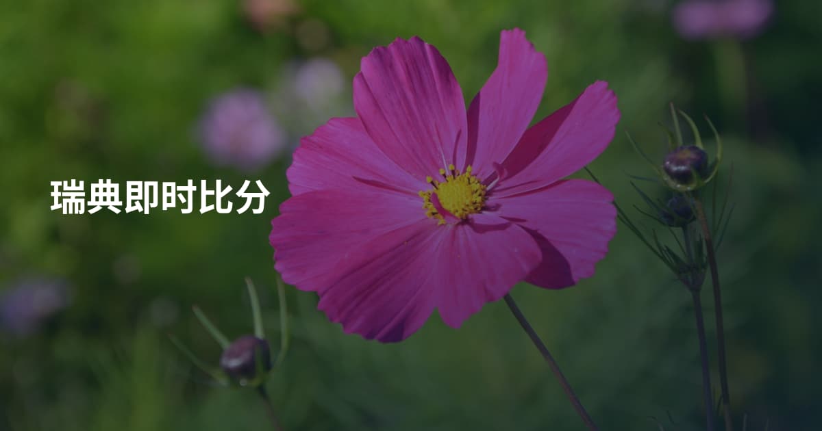 瑞典即时比分
