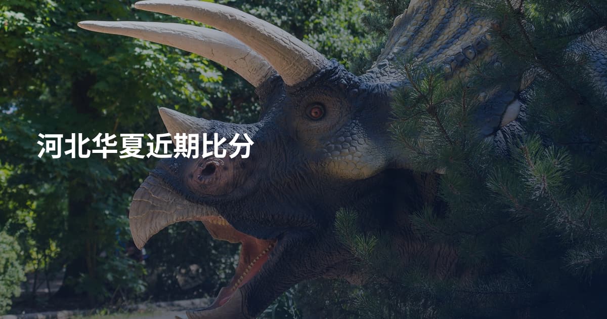 河北华夏近期比分