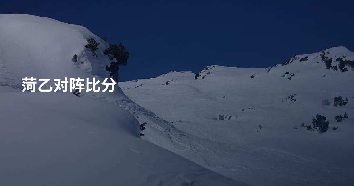 菏乙对阵比分