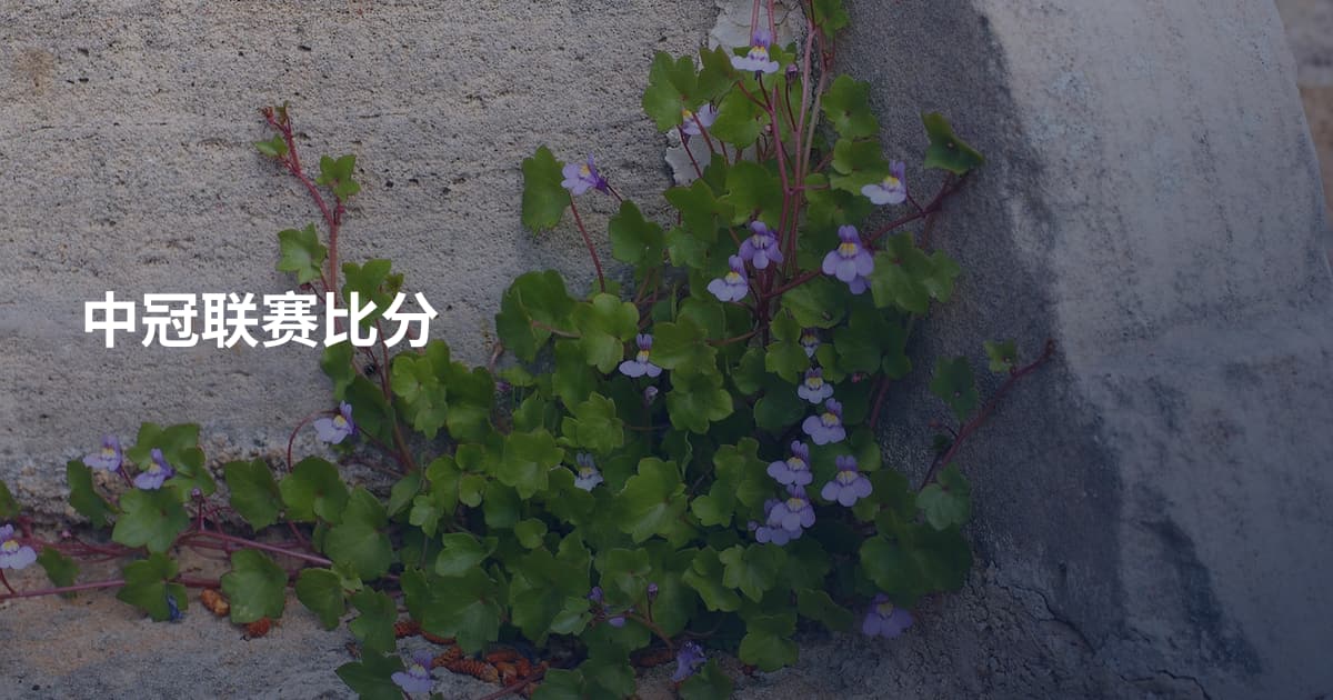 中冠联赛比分