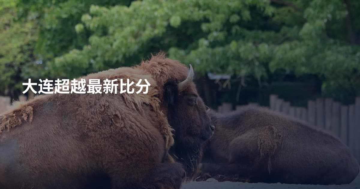 大连超越最新比分