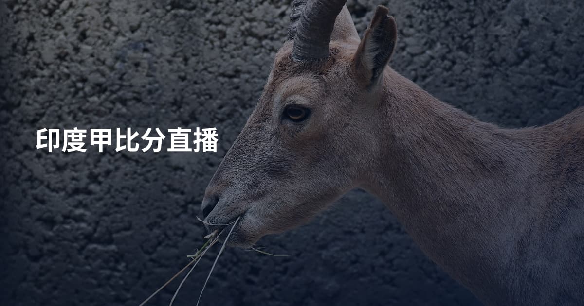 印度甲比分直播