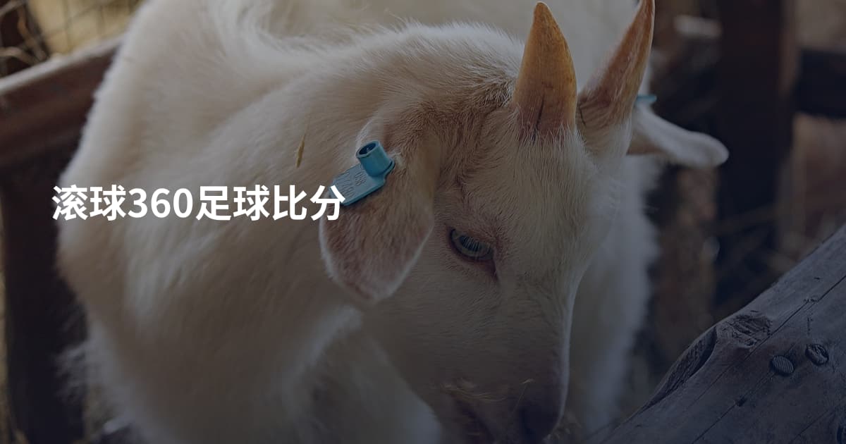 滚球360足球比分