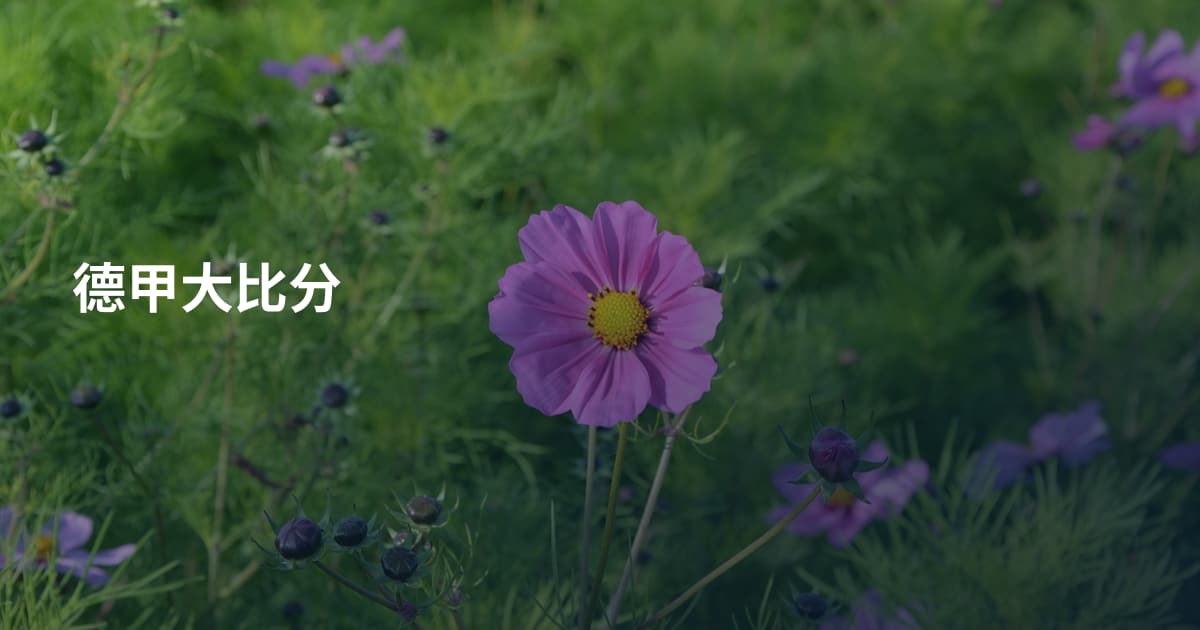 德甲大比分
