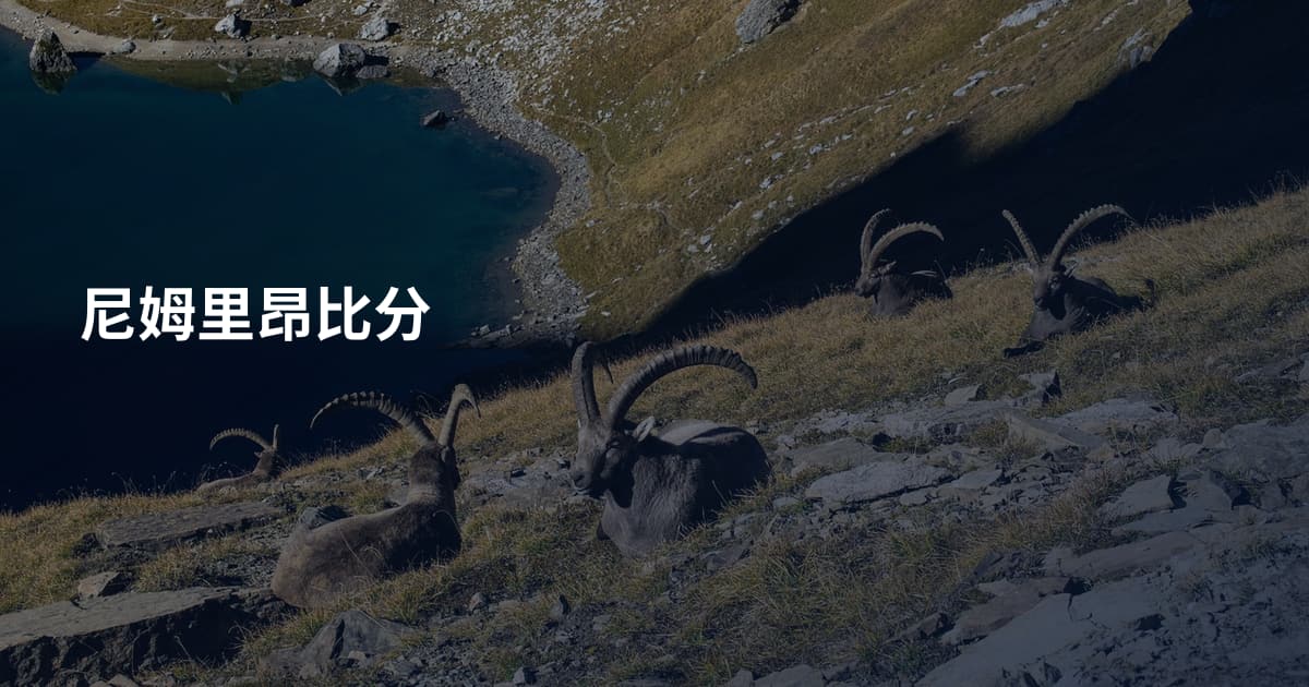 尼姆里昂比分