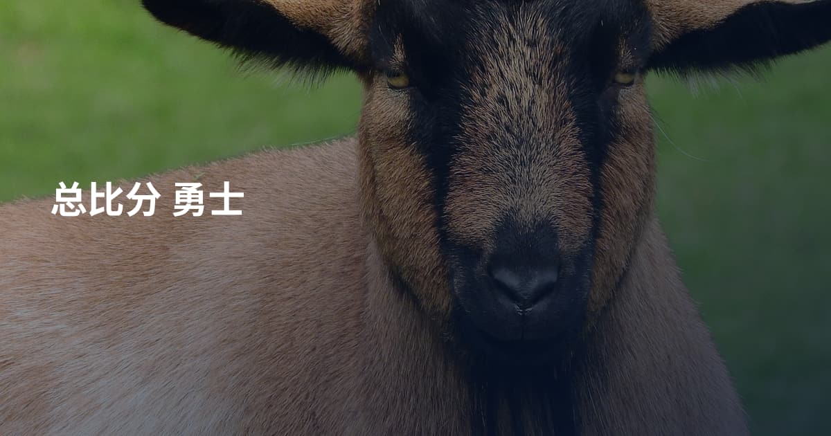 总比分 勇士