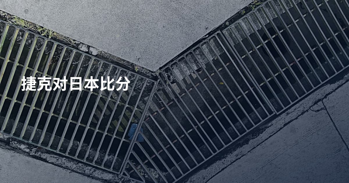 捷克对日本比分