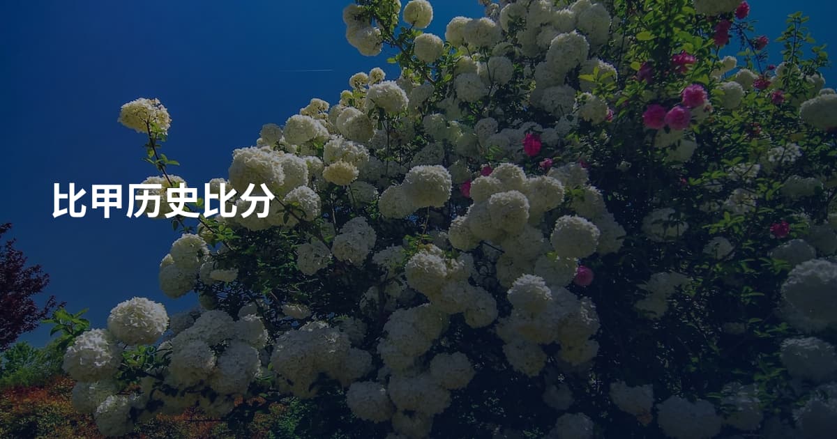 比甲历史比分
