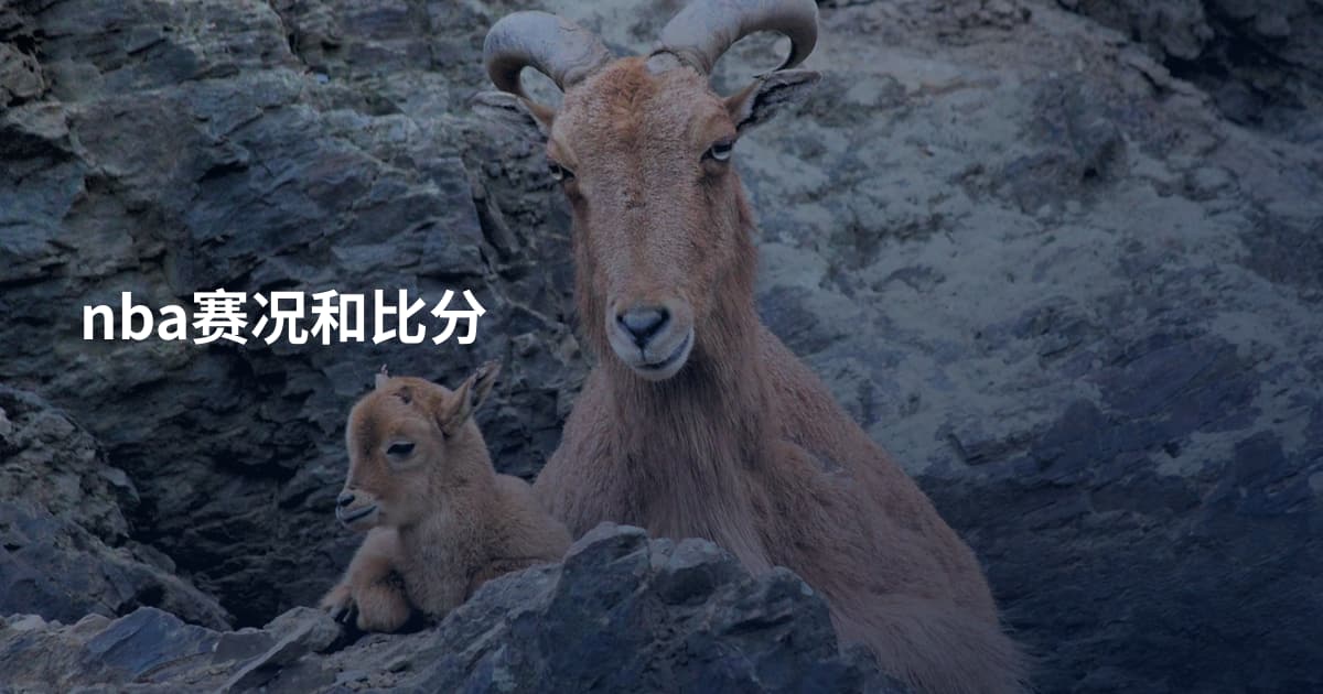 nba赛况和比分
