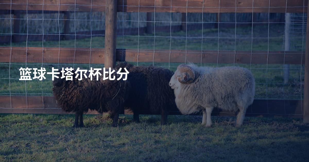 篮球卡塔尔杯比分