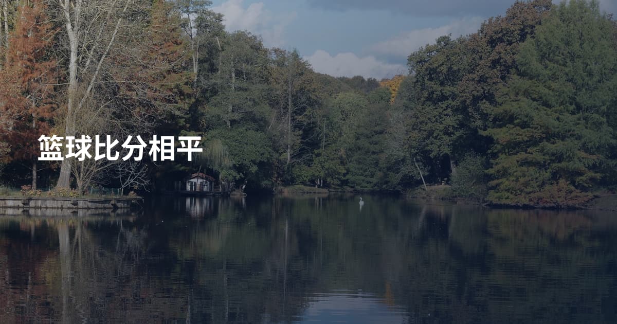 篮球比分相平