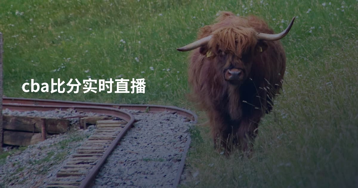 cba比分实时直播