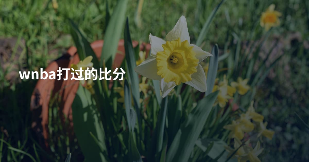 wnba打过的比分