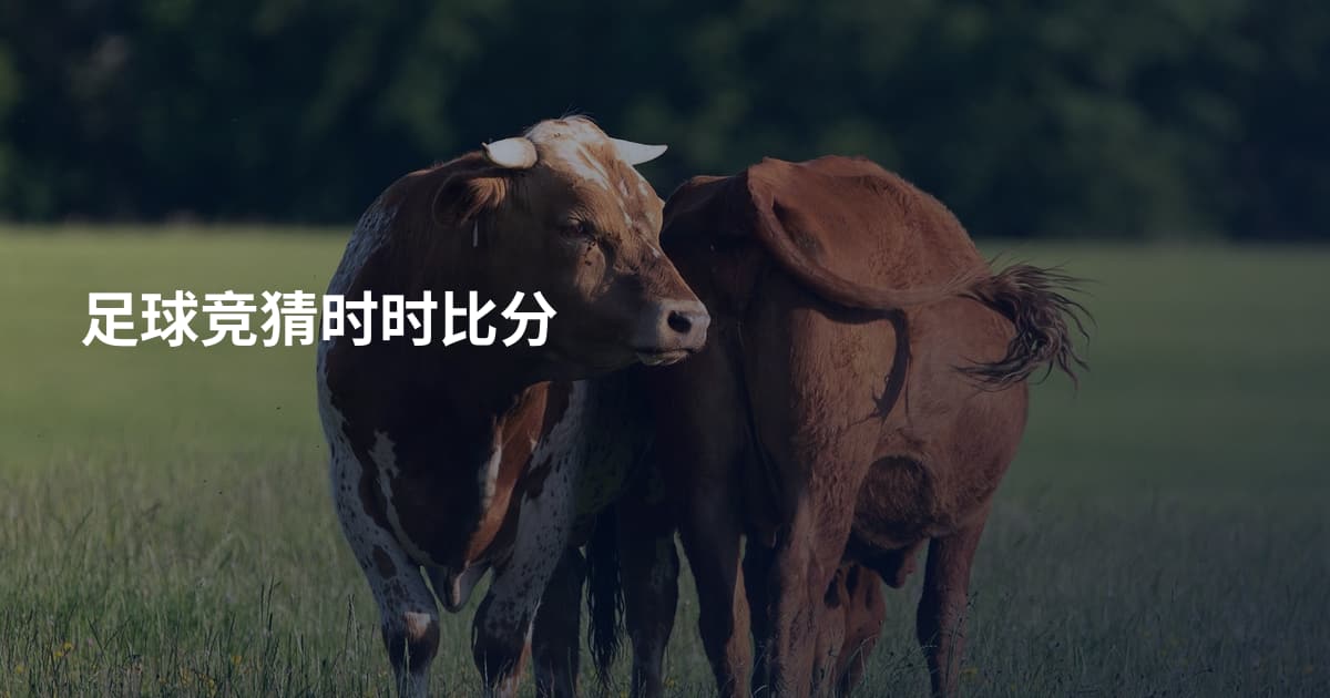 足球竞猜时时比分