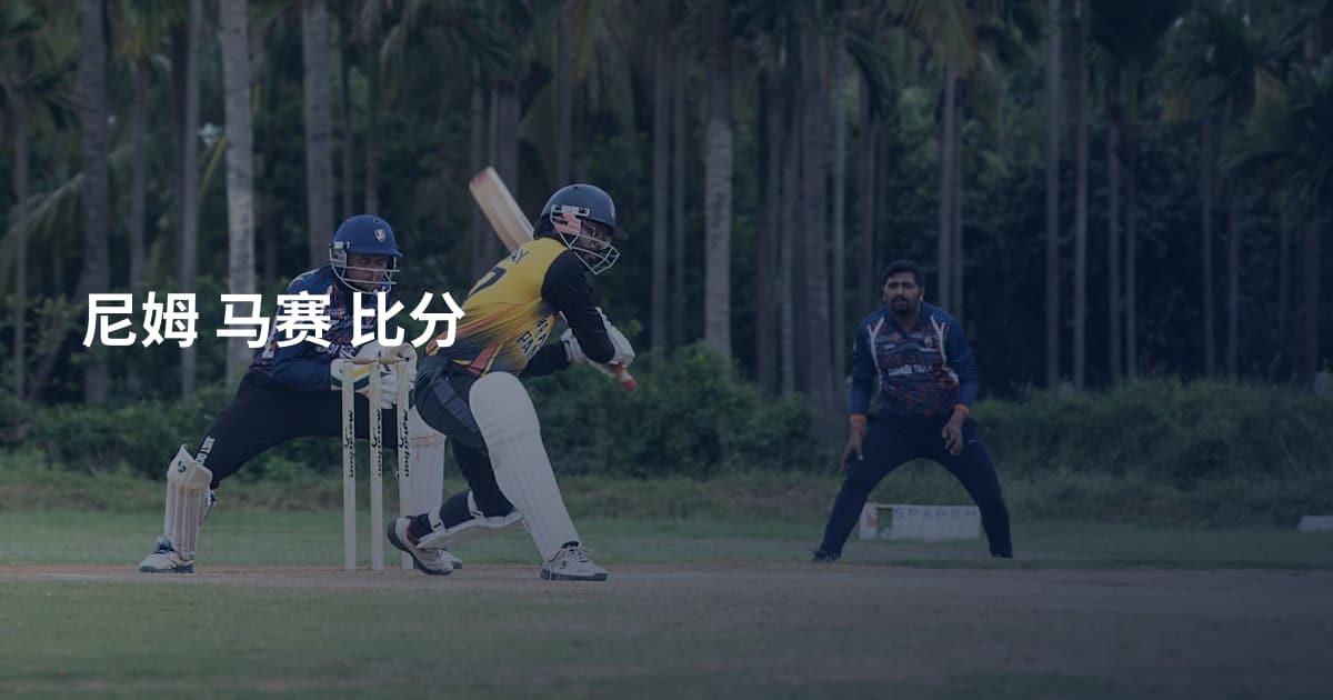 尼姆 马赛 比分
