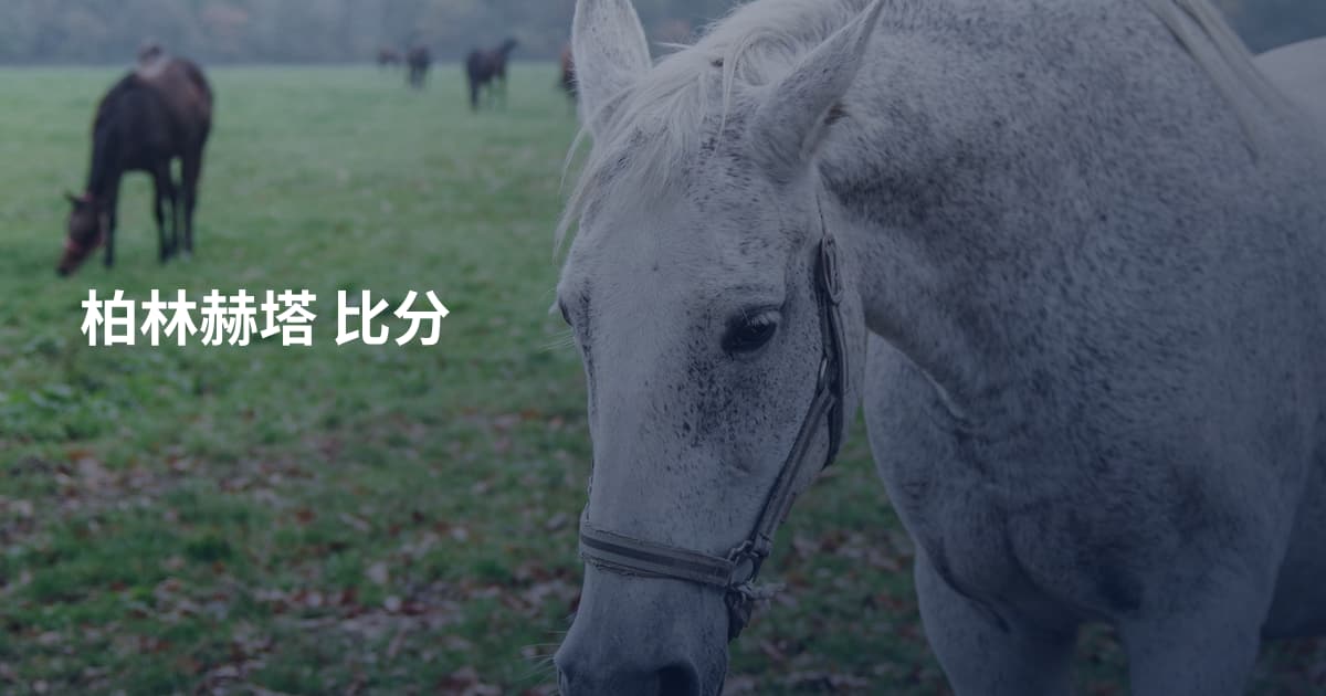 柏林赫塔 比分