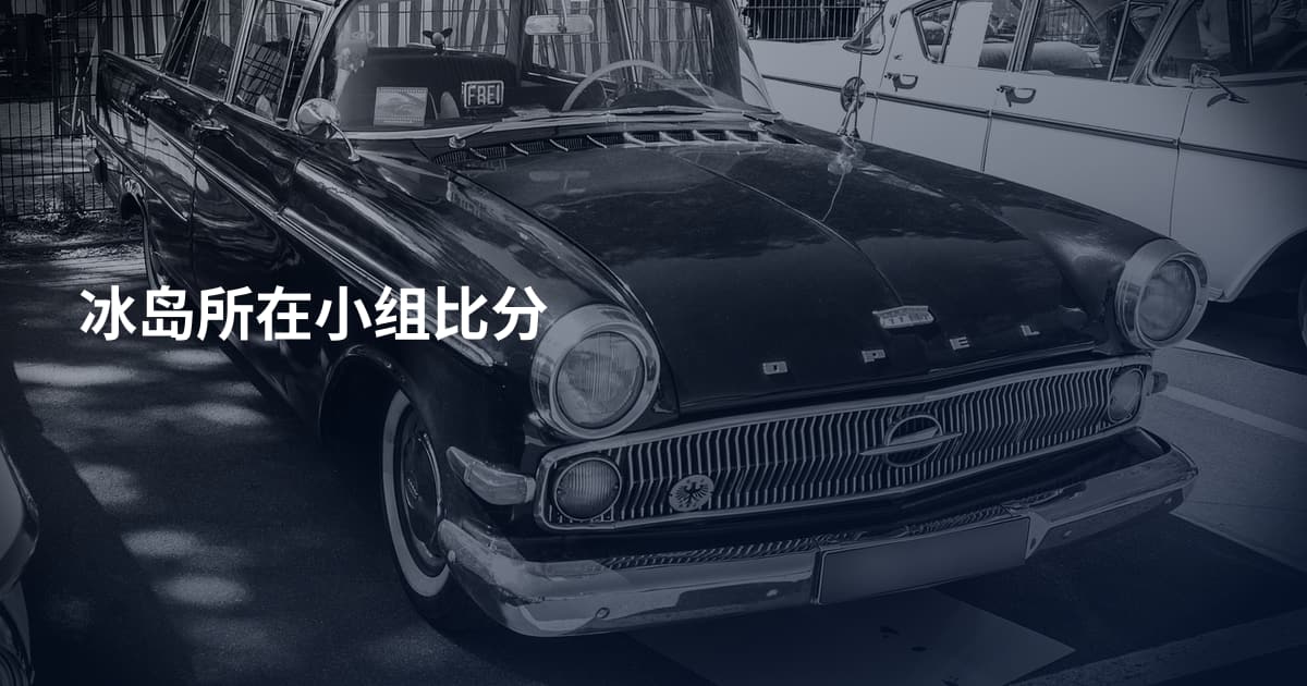 冰岛所在小组比分