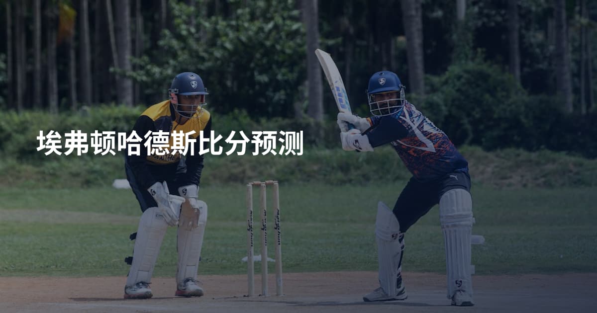 埃弗顿哈德斯比分预测