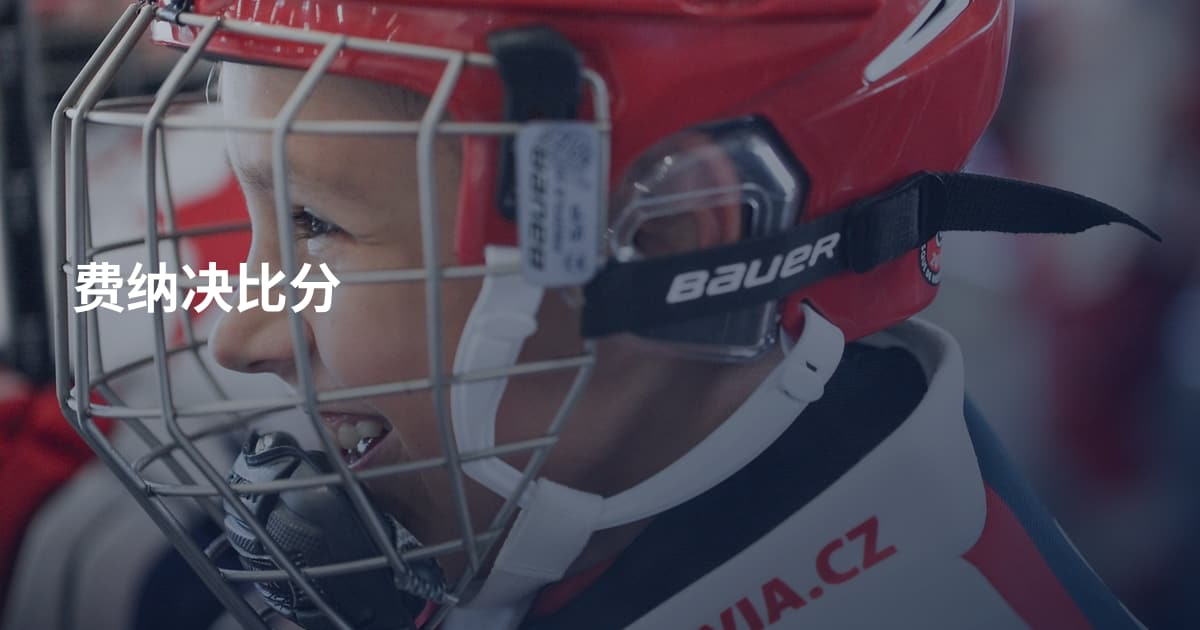 费纳决比分