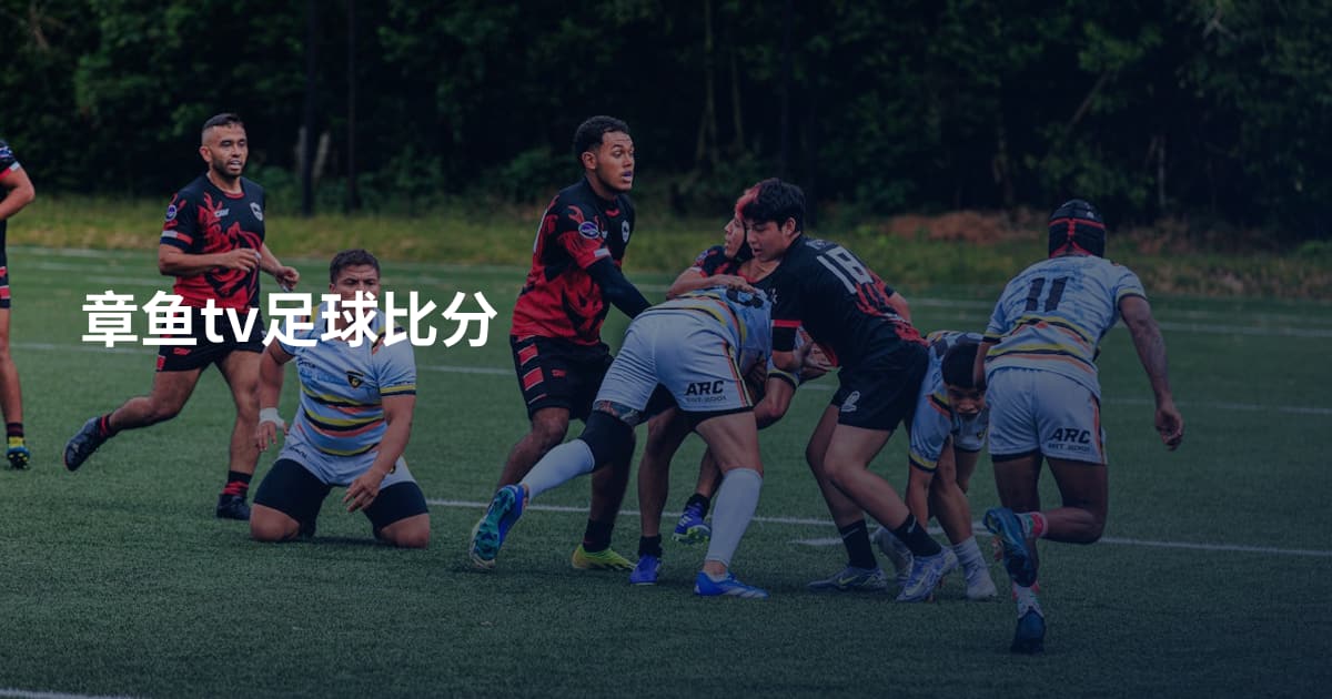 章鱼tv足球比分