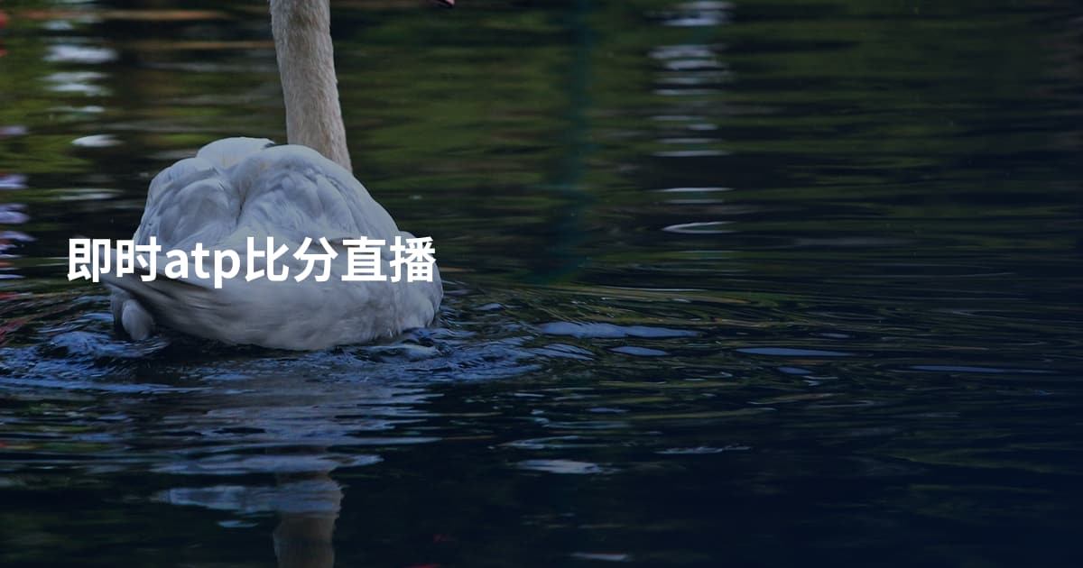 即时atp比分直播