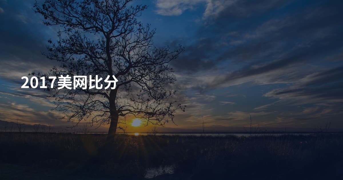 2017美网比分