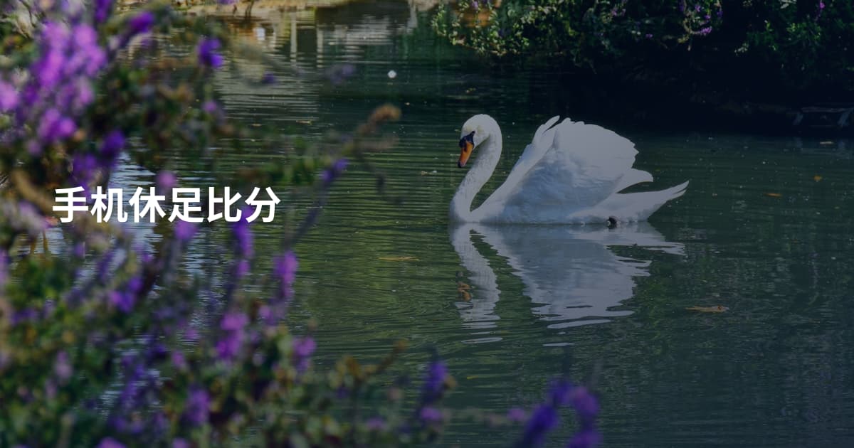 手机休足比分