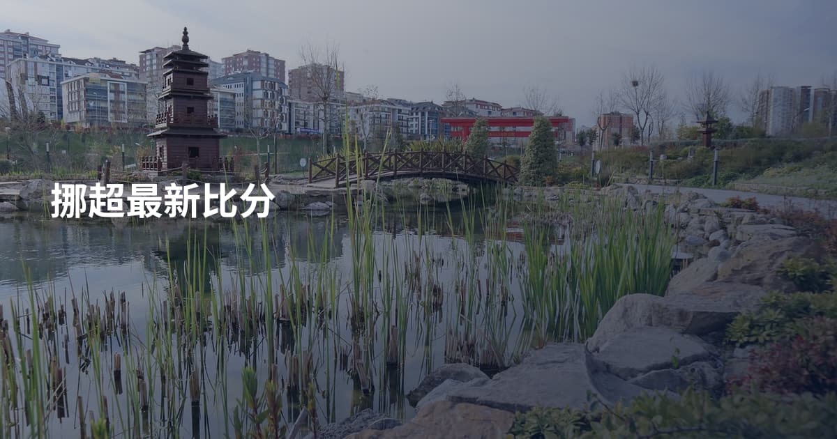 挪超最新比分