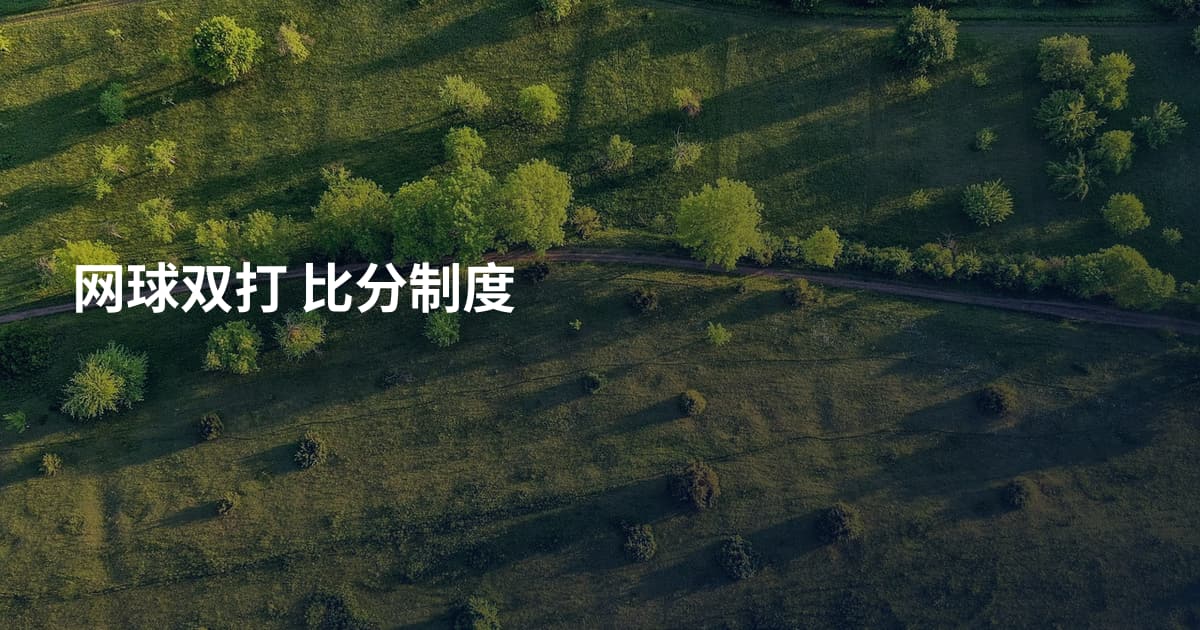 网球双打 比分制度