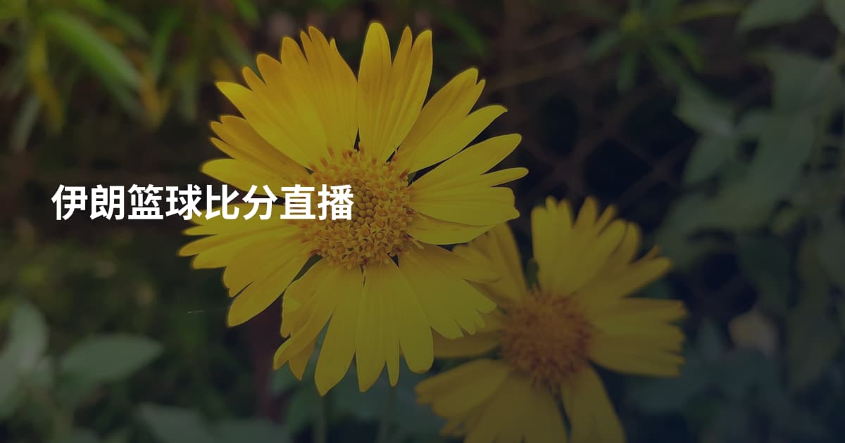 伊朗篮球比分直播