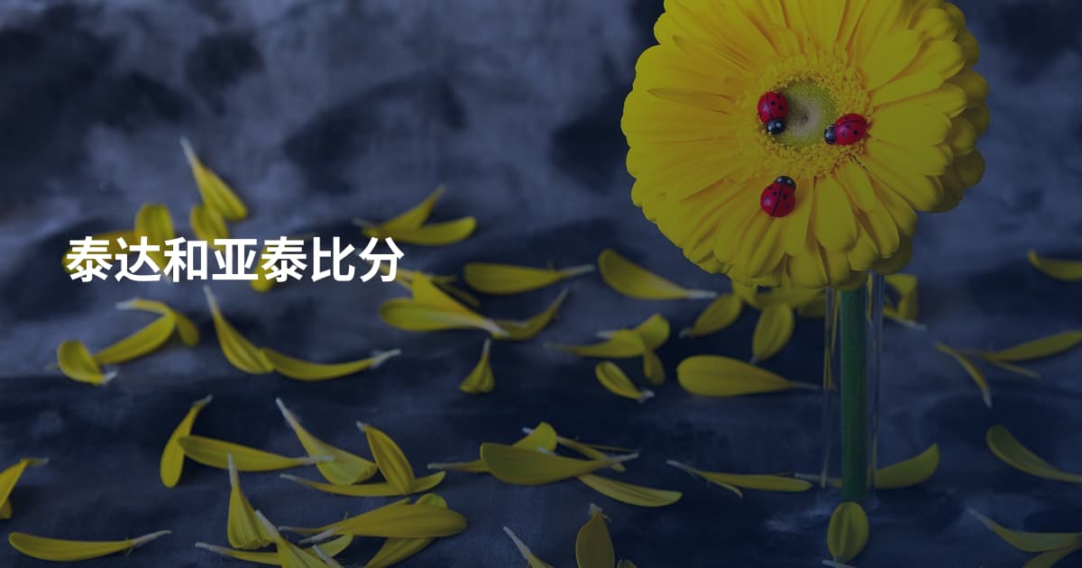 泰达和亚泰比分