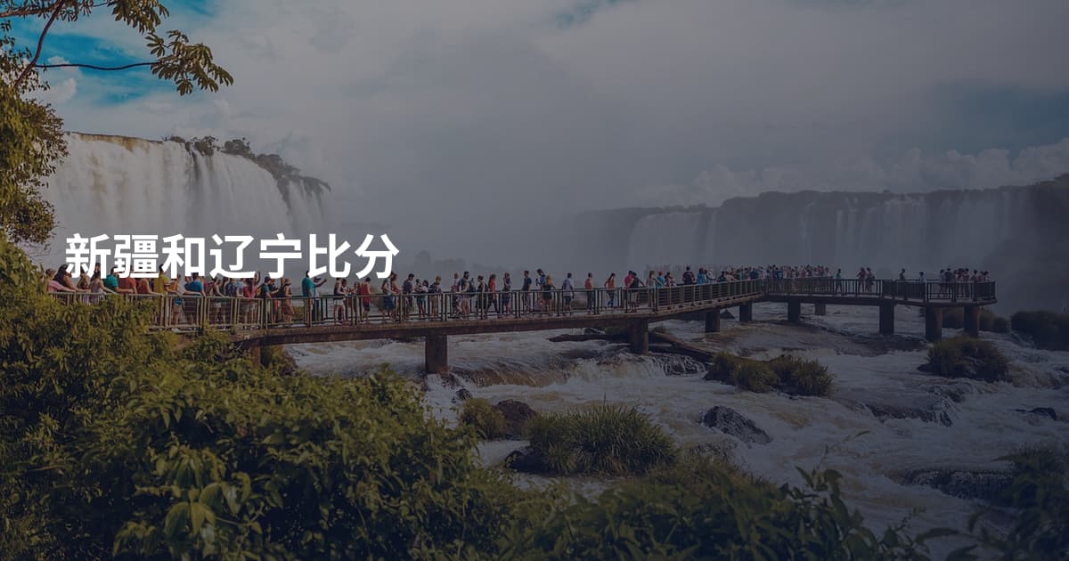 新疆和辽宁比分
