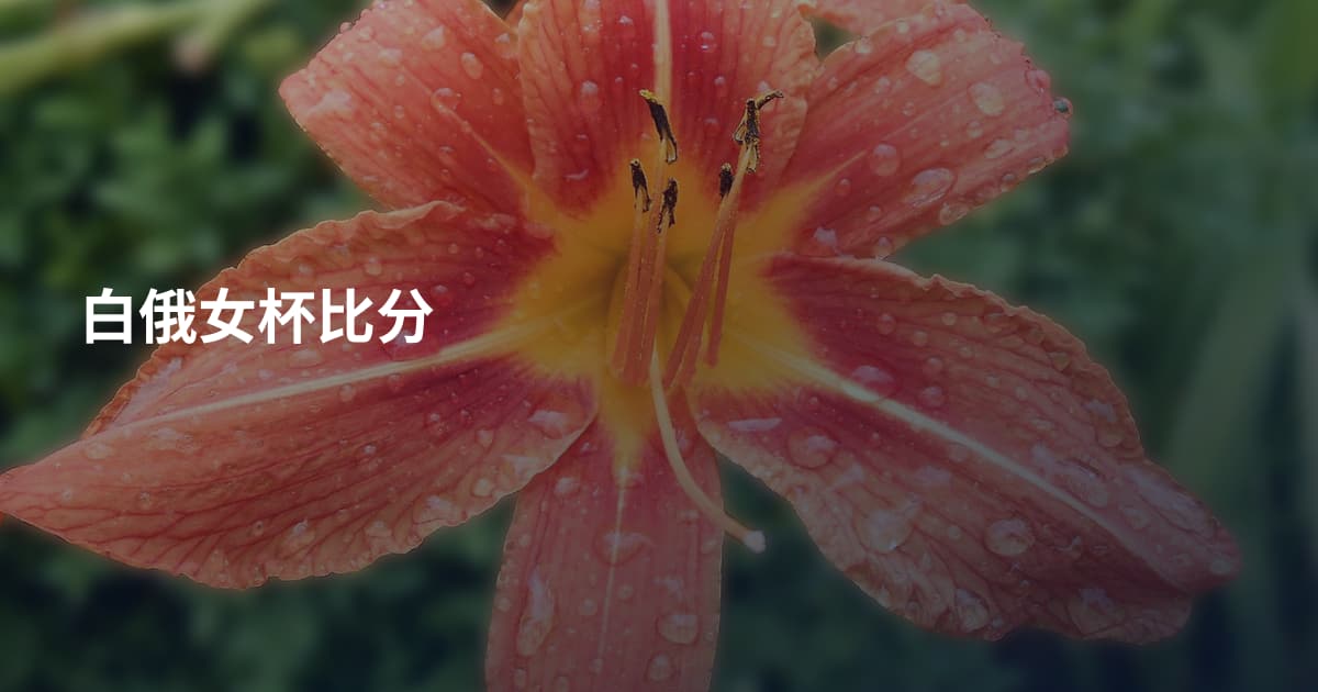 白俄女杯比分