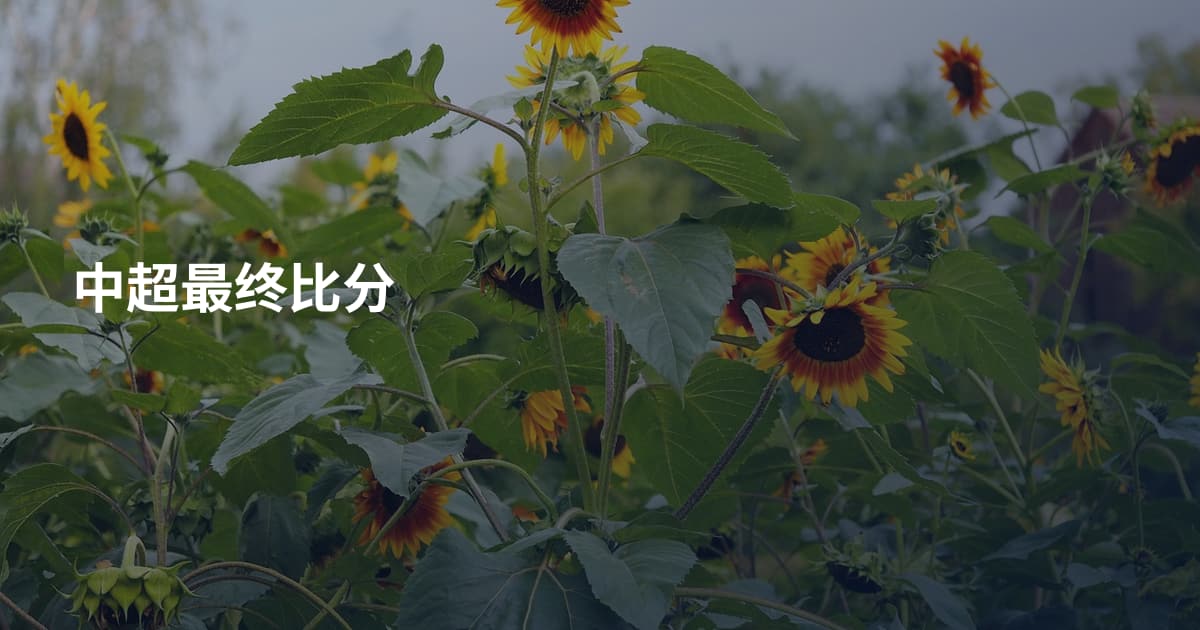 中超最终比分