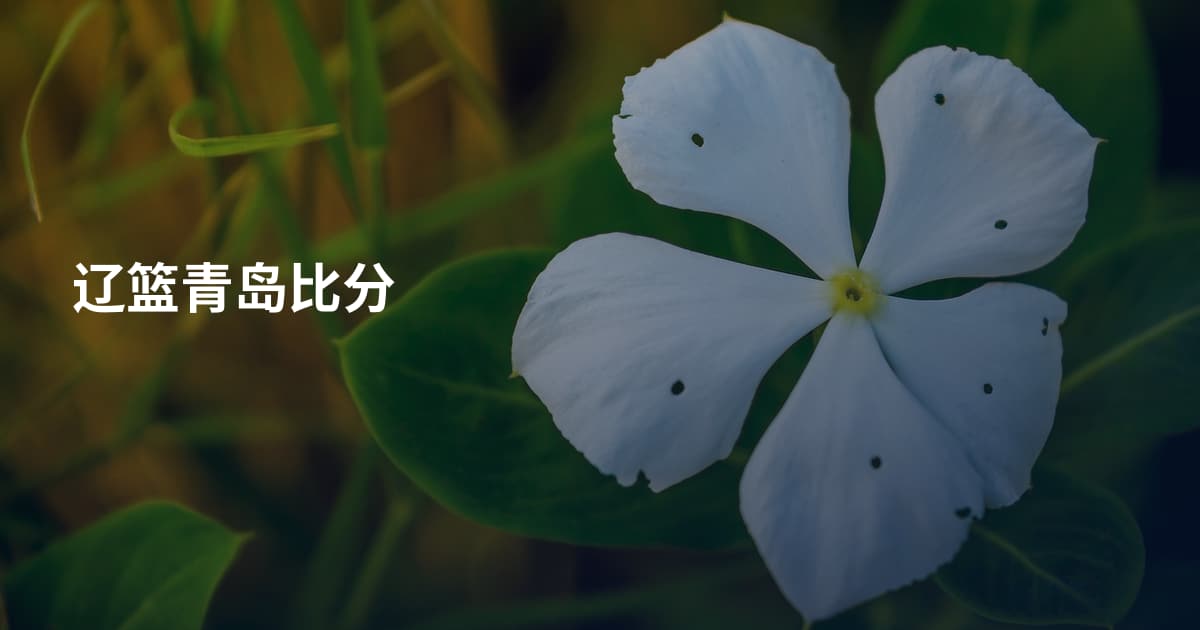 辽篮青岛比分