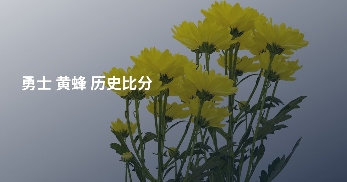 勇士 黄蜂 历史比分