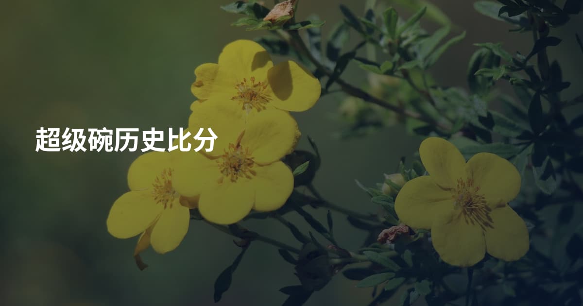 超级碗历史比分