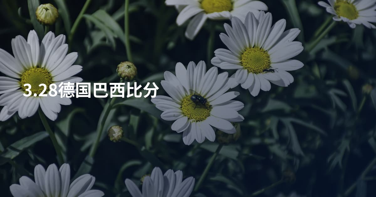 3.28德国巴西比分