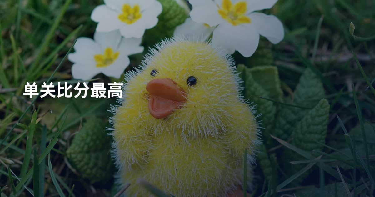 单关比分最高