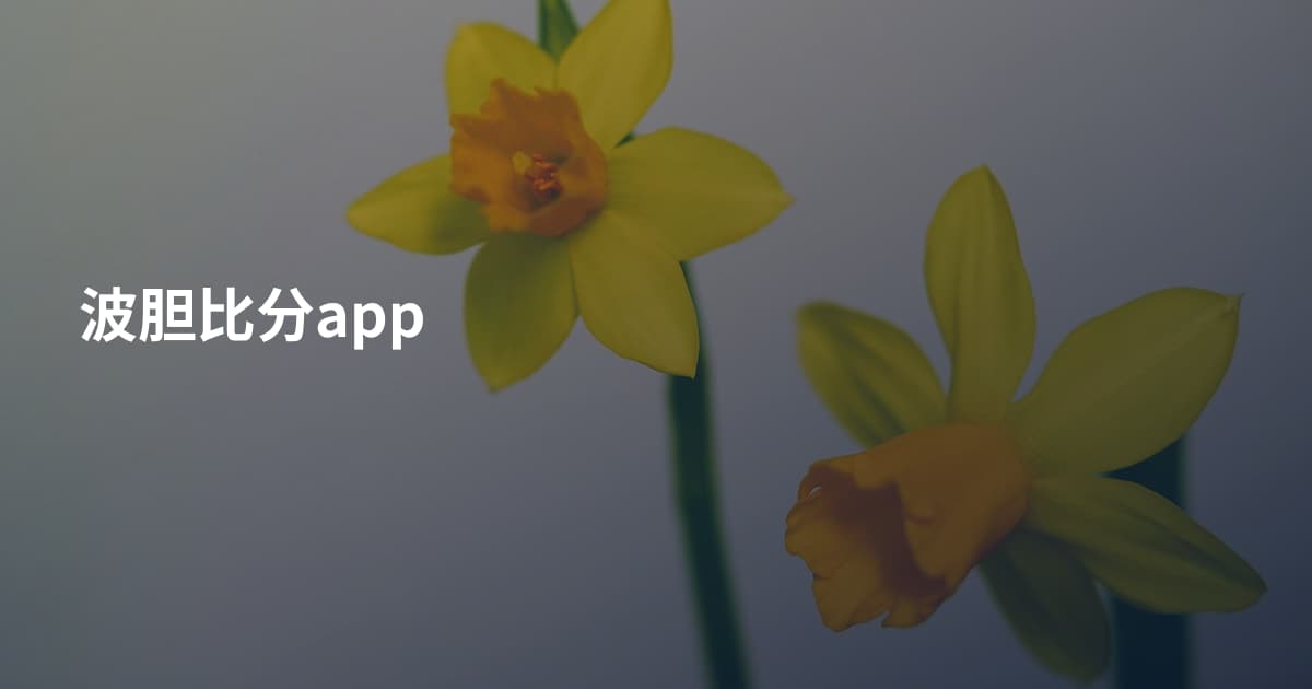 波胆比分app