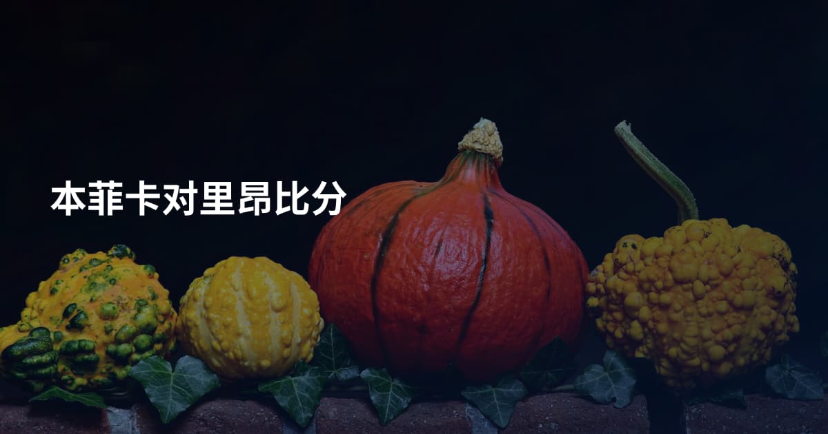 本菲卡对里昂比分